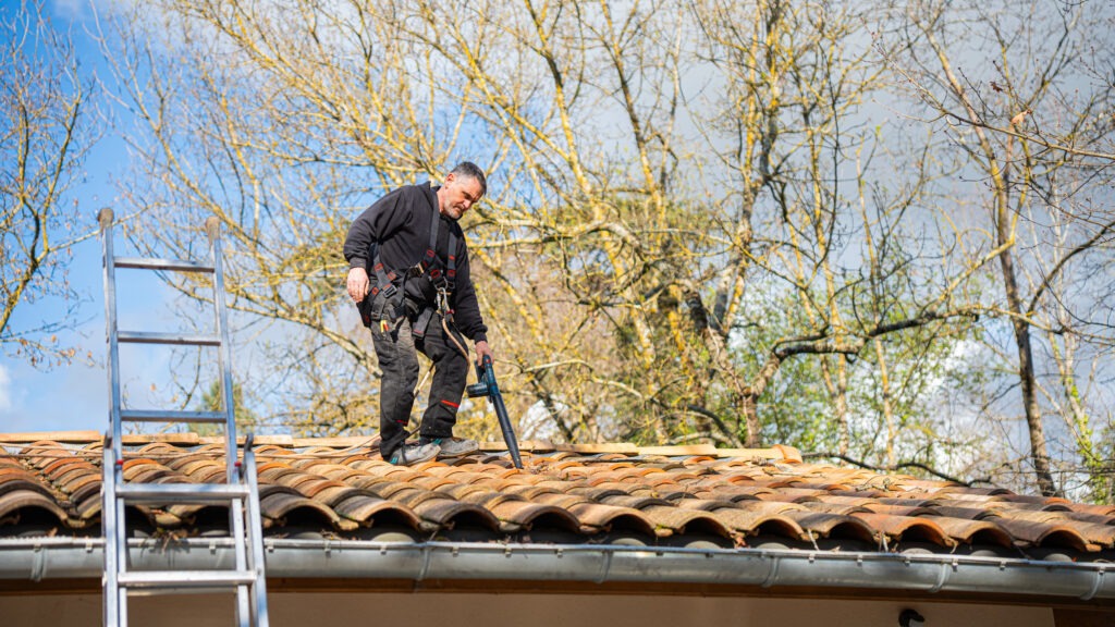 nettoyage toiture écologique