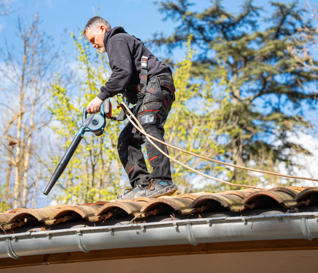 Souffleur nettoyage petit prix