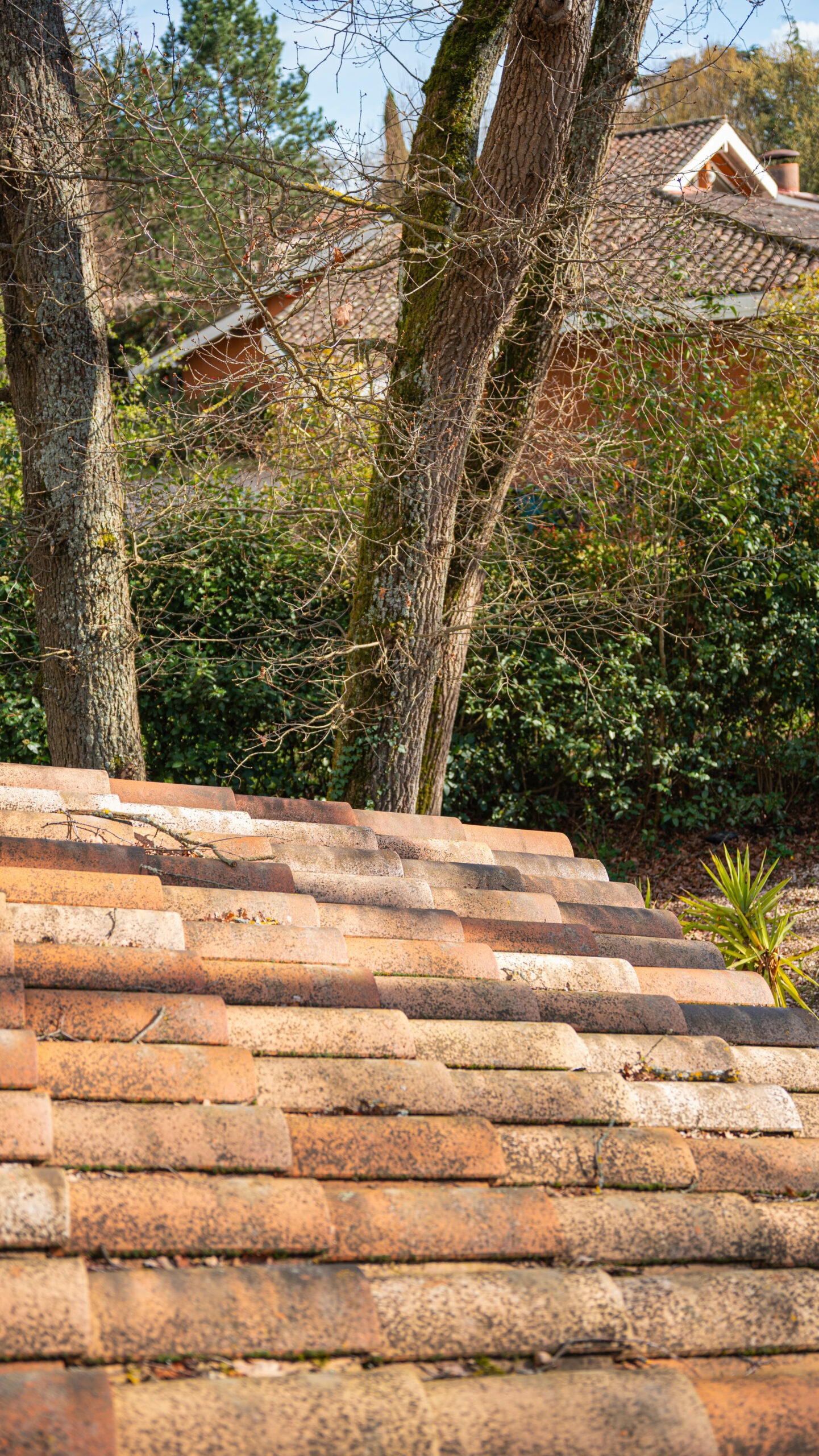 nettoyage toiture toit