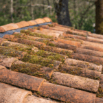 nettoyage toiture toulouse avant après (8)